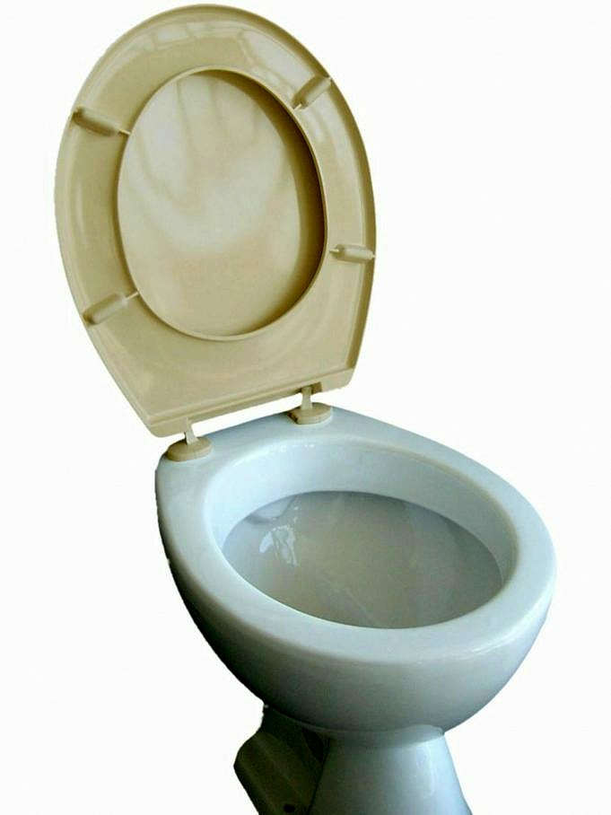 Die Besten Gepolsterten Toilettensitze