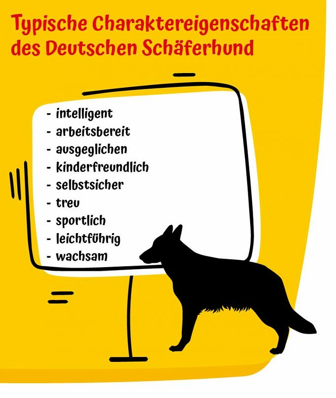 Sind Deutsche Schäferhunde Hypoallergen?